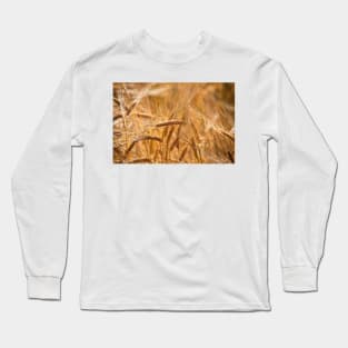 Golden Barley Long Sleeve T-Shirt